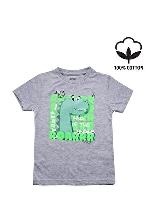 Sevimli Dinozar Baskılı Erkek Bebek Tshirt Gri