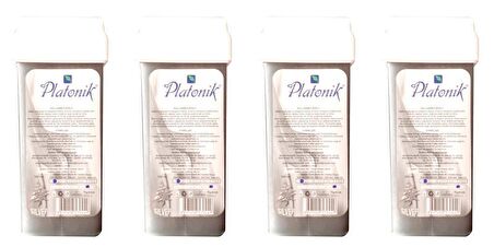 Platonik Kartuş Ağda Gri Silver 100 Ml. (4 Adet)