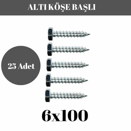 Trifon Vida 6x100 mm Altı Köşe Anahtar Başlı Vida  25'li Paket