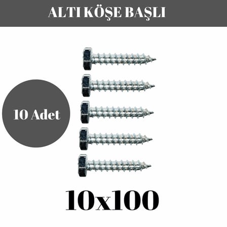 Trifon Vida 10x100 mm Altı Köşe Anahtar Başlı Vida  10'lu Paket