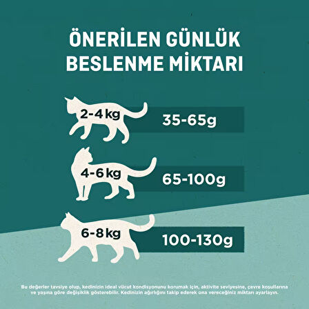 Purina ONE Coat& Hairball Kısırlaştırılmış Tavuklu Kedi Maması 800gX4