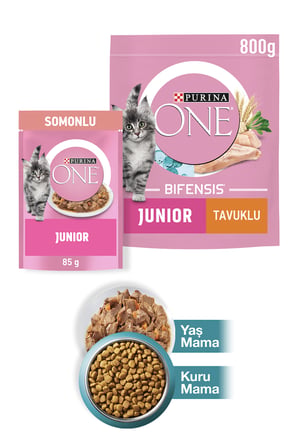 Junior Tavuk Yavru Kedi Maması 800g+Junior Somon Yaş Yavru Kedi Maması 85g