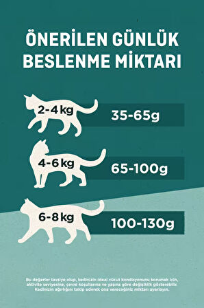 Sterilised Sığır Etli Kısırlaştırılmış Kedi Maması 1,5 kgX2