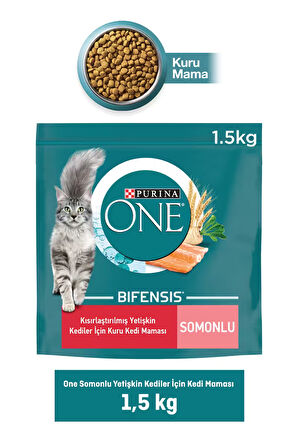 Purina One Somonlu Kısırlaştırılmış Kedi Maması 1,5 KgX4