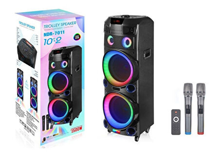  Platoon PL-4611 200W RGB Işıklı USB/TF/FM/BT/TWS Kablosuz Mikrofonlu Öğretmen/Toplantı Anfisi (NDR-7022)