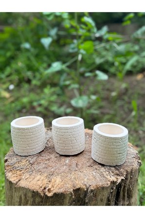 Tasarım Mini Saksılık Kaktüs Ve Sukulentlik 3'lü Set