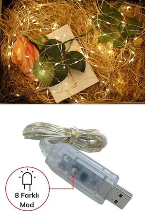 PLENTİFUL Yılbaşı ve Özel Konsept Dekorasyonu 5 Metre USB Bağlantılı Peri Led Işık (Sarı)