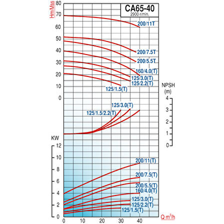Varan CA 65-40-200/11T Paslanmaz Santrifüj Pompa 15 HP / 11.2 kW, Trifaze 380 V, 70 Mss (AISI 316)