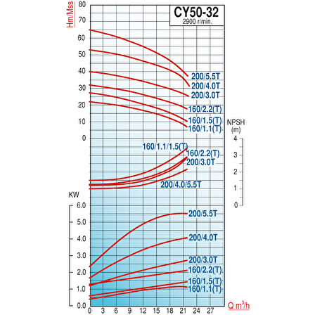 Varan CY 50-32-200/3.0T Paslanmaz Santrifüj Pompa 4 HP / 3 kW, Trifaze 380 V, 38 Mss (AISI 316)