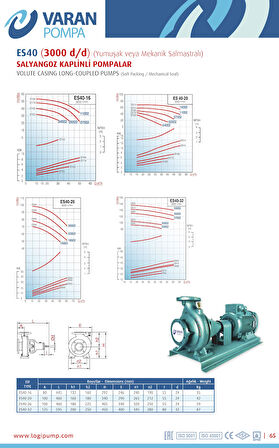 Varan ES 40-20-15002 Uçtan Emişli EN 733 Santrifüj Pompa 20 HP / 15 kW, Trifaze 380 V, 66 Mss, 50 m3/h