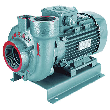 Varan VS 254 Monoblok Salyangoz Santrifüj Pompa 4 HP / 3 kW, Trifaze 380 V, 31 Mss, 45 m3/h