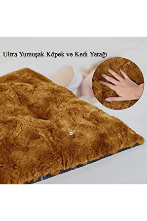 Patiderm Peluş Kedi ve Köpek Yatağı Yer Minderi - Karışık Renk 