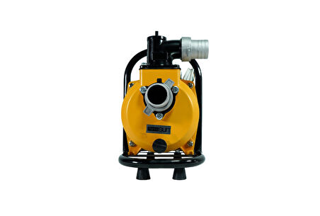 DC Yüzey Pompa 1.5Hp 1100W (SFP20-17-1100W/96V)