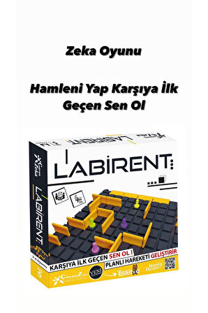 LABİRENT VE PİNPONİX2 2si Birarada ZEKA DENGE VE KOORDİNASYON ARTIRICI OYUN SETİ