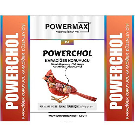 POWERCHOL 250 ML (Karaciğer düzenleyici,karaciğer koruyucu)