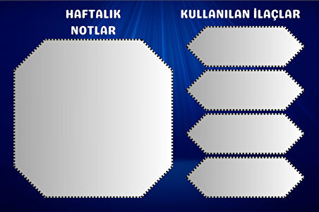 Diyabet Ölçüm Takip Çizelgesi Defteri A Kalite Özel Tasarım 3 Aylık A5