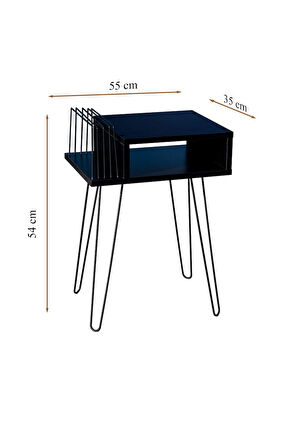  Plak ve Pikap Sehpası Metal Ayaklı Siyah