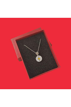 Modahilye 925 Ayar Gümüş Minival Papatya Şans Kolyesi