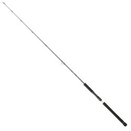 DAİWA LEGALİS O BF JG 1.73M 100-300GR TEK P. JİG KAMIŞ