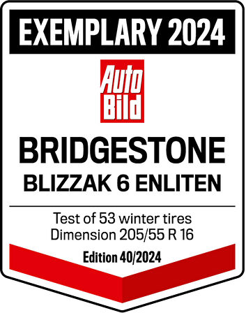 BRİDGESTONE 205/50R17 93V XL BLIZZAK 6 (2024)  NEW