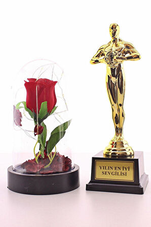Eşe Sevgiliye Yılın En Iyi Sevgilisi Oscar Ödülü Ve Led Işıklı Fanus Gül Hediye Seti