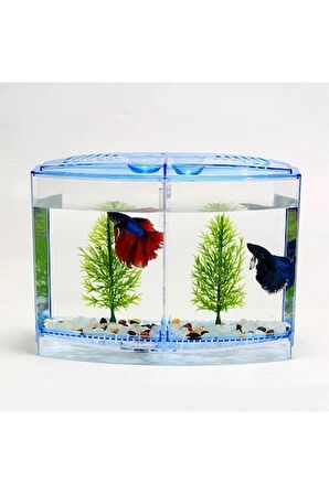 İkili Beta Akvaryumu 9*19*14cm 1800ml 