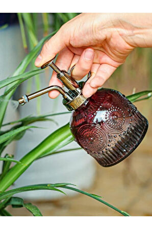 Şık Tasarımlı Ev Bahçe Saksı Çiçeklerine Özel Cam Bitki Sulama Fıskiyesi Kolonya Şişesi 200ML Kırmzı