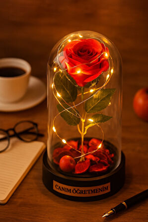 Canım Öğretmenim Temalı  Öğretmene Hediye Led Işıklı Mika Fanus Kırmızı Yapma Solmayan Gül 