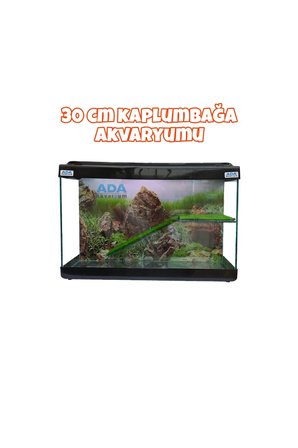 Ada Akvaryum Su Kaplumbağası Akvaryumu Bahçeli Rampalı Dinlenme  30x23x15 Cm  Arka Plan Hediyeli