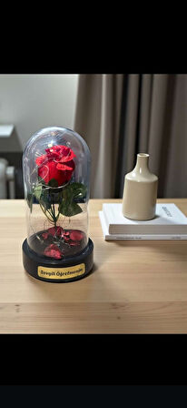 Fanusta Led Işıklı Sevgili Öğretmenim Temalı Biblo Öğretmenler Gününe Anlam Katan Özel Hediye 20 CM