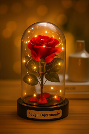 Fanusta Led Işıklı Sevgili Öğretmenim Temalı Biblo Öğretmenler Gününe Anlam Katan Özel Hediye 20 CM