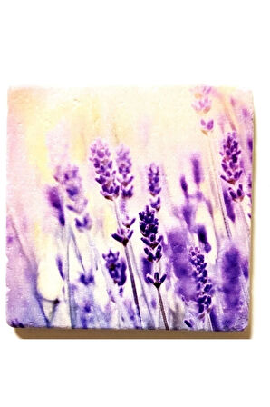 Dekoratif Figürlü Doğal Taş Banyo Gider Kapağı Süsü Tekli 10x10 Cm Model 116