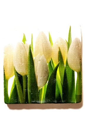 Dekoratif Figürlü Doğal Taş Banyo Gider Kapağı Süsü Tekli 10x10 Cm Model 115