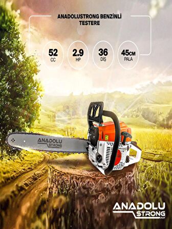  2.9hp Benzinli Motorlu Testere 45cm Palalı +Çift Akülü  Dal Budama Testeresi  Set