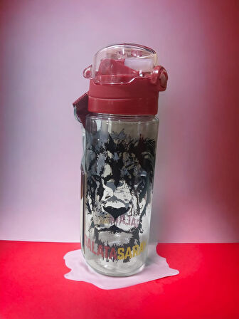 G.Saray Beslenme Seti Aslan Figürlü