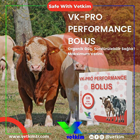  Vk-Pro Performance Bolus - 2 Adet 110 gr