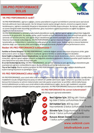  Vk-Pro Performance Bolus - 2 Adet 110 gr
