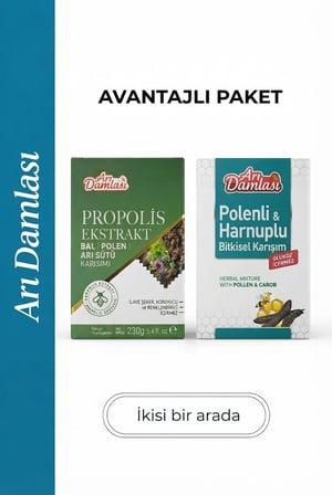 Arı Damlası 2'li Macun Setleri –Propolis Ekstraktlı-Polen İçerikli Macun