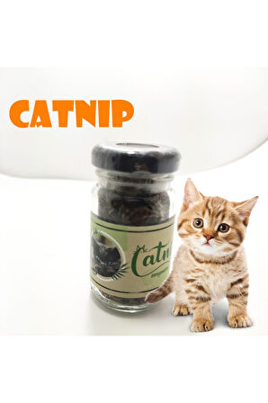 Catnip Doğal Otu - Nanesi