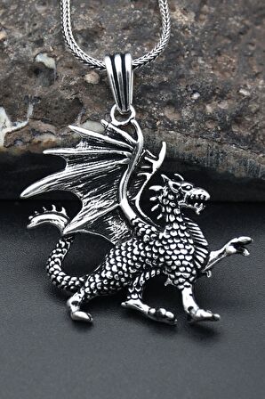 Ejderha Modelı 925 Ayar Erkek Gümüş Kolye Zincir