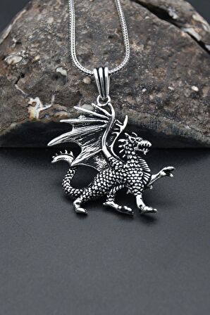 Ejderha Modelı 925 Ayar Erkek Gümüş Kolye Zincir