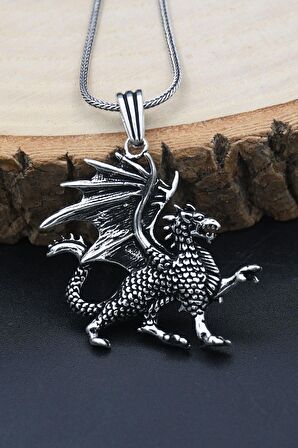 Ejderha Modelı 925 Ayar Erkek Gümüş Kolye Zincir