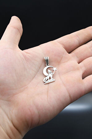 Kolye Ucu Ay Yıldızlı ve Bozkurt  925 Ayar Gümüş 901173