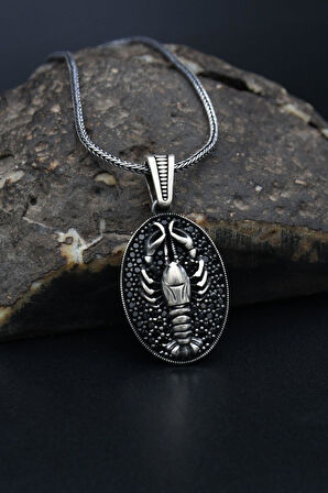 Akrep Figürlü Mikro Taşlı Süslemeli 925 Ayar Erkek Gümüş Kolye Zincir 901314