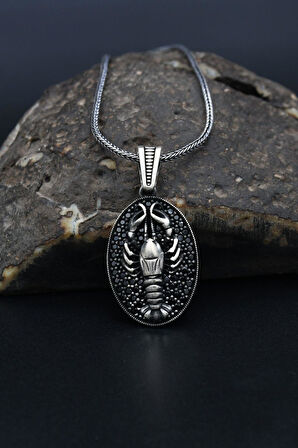 Akrep Figürlü Mikro Taşlı Süslemeli 925 Ayar Erkek Gümüş Kolye Zincir 901314