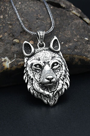 Kurt Figürlü 925 Ayar Gümüş Erkek Kolye Zincir 901315