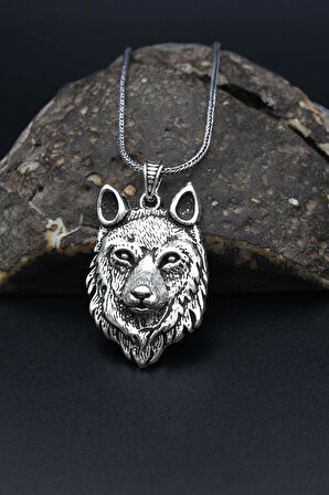 Kurt Figürlü 925 Ayar Gümüş Erkek Kolye Zincir 901315