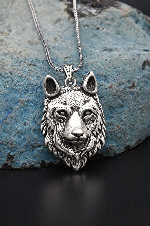 Kurt Figürlü 925 Ayar Gümüş Erkek Kolye Zincir 901315