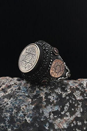 Özel Tasarım Hz. Süleyman Mührü Aslan Figürlü 925 Ayar Gümüş Erkek Yüzüğü 901549