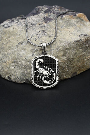 Akrep Figürlü 925 Ayar Gümüş Kolye Zincir 902384